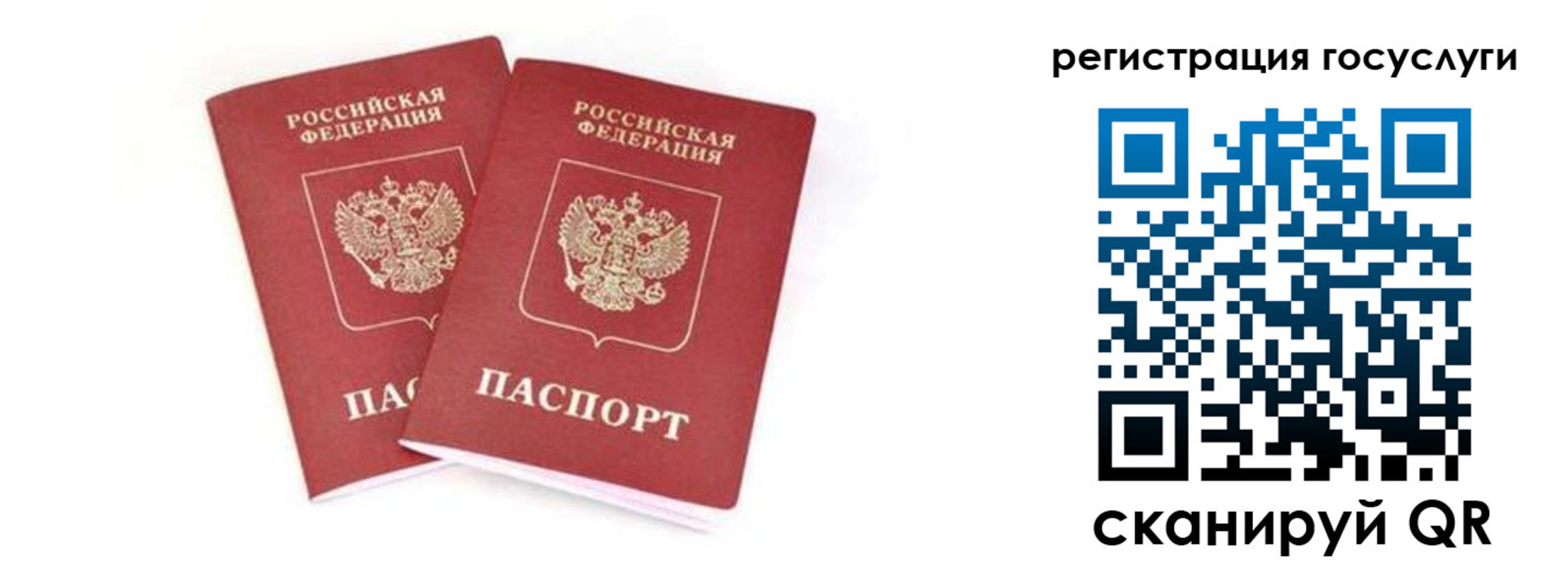 прописка в квартире в Ленинградской области
